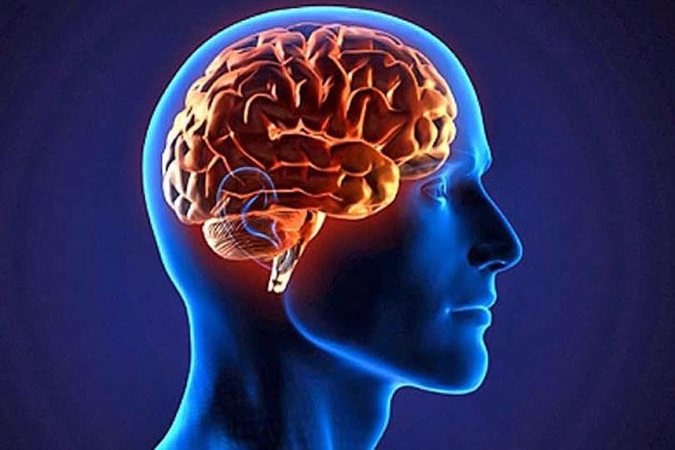 راهکارهایی برای جوان ماندن مغز