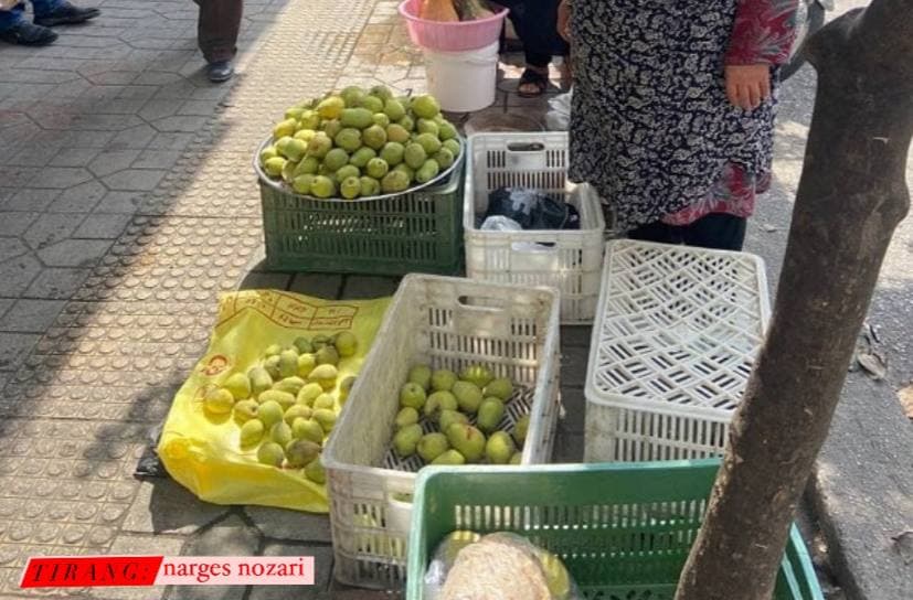 هر سال دریغ از پارسال! / کسی به فکر ساماندهی زنان دستفروش نیست؟