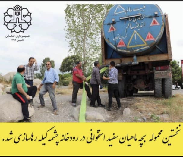 شروع رهاسازی بچه ماهی سفید در رودخانه چشمه کیله