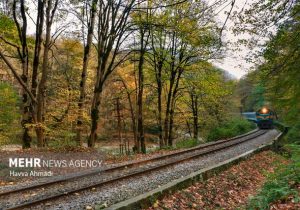 سوت قطار در دهکده بیست فامیلی/دست افشانی بامبوها برای گردشگری