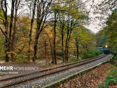 سوت قطار در دهکده بیست فامیلی/دست افشانی بامبوها برای گردشگری