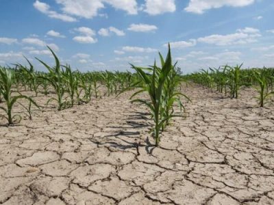 سال آبی سخت در کمین مازندران / کاهش همه شاخص‌های مربوط به منابع آب در استان