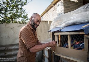 این خانه سیاه است