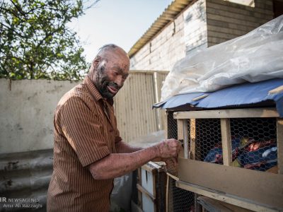 این خانه سیاه است