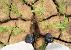 بحران آب مازندران؛ از حرف تا عمل