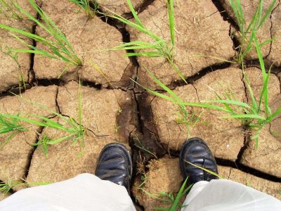 بحران آب مازندران؛ از حرف تا عمل