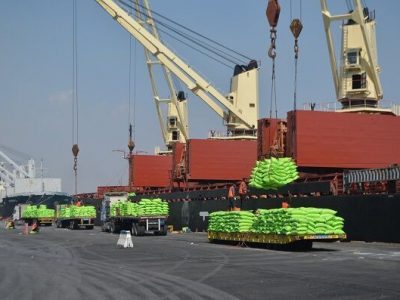 برنج هوایی شد| تیشه واردات بر ریشه شالیزار