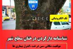 صیانت از درختان فضای سبز شهری با اجرای طرح پلاک گذاری