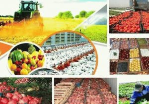 ثروت نهفته شمال