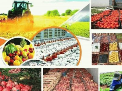 ثروت نهفته شمال