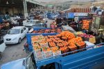 جابهجایی میدان میوه و ترهبار مرکز مازندران تا پایان امسال