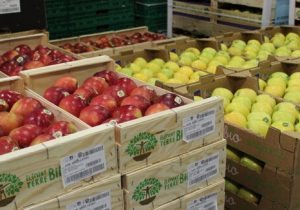 در هوای آلوده سیب بخورید