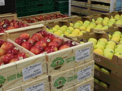 در هوای آلوده سیب بخورید