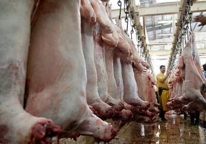 رفع مشکلات کشتارگاه‌های سنتی غرب مازندران نیازمند تصمیم و همت جهادی