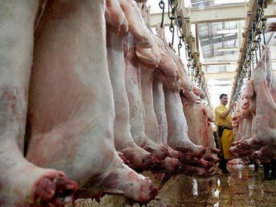 رفع مشکلات کشتارگاه‌های سنتی غرب مازندران نیازمند تصمیم و همت جهادی