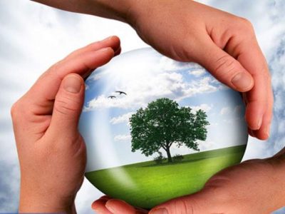 نقش روابط عمومی در توسعه پایدار محیط زیست