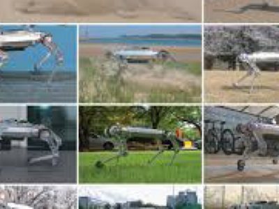 پیاده روی سگ رباتیک بر روی شن‌ها