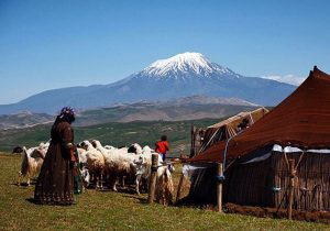 ۱۰۰۰ نفر از جامعه عشایری مازندران بیمه می شوند