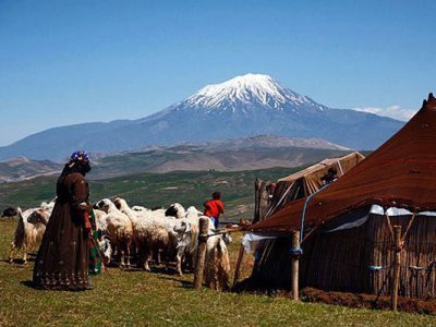 ۱۰۰۰ نفر از جامعه عشایری مازندران بیمه می شوند