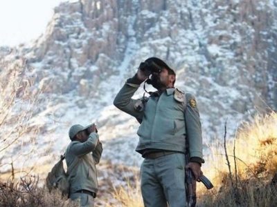 همپیمانان طبیعت