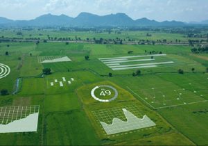 ضرورت پیش‌روی شهرها به سمت الکترونیکی شدن