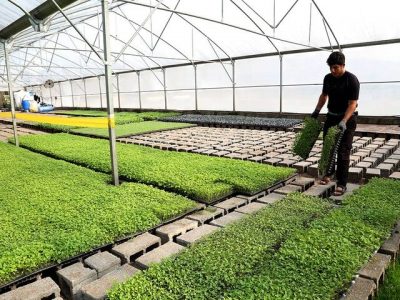 اجرای ۶ پروژه بزرگ سرمایه گذاری مشترک با ایران