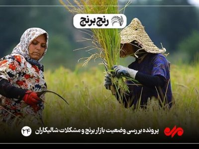 وعده های پارسال سراب شد/ برنج همچنان آواره انبارها است