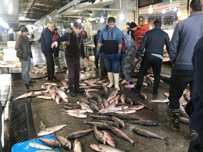 عملیاتی شدن حل معضل ساحل خوابی ۳۵ ساله زباله فریدونکنار