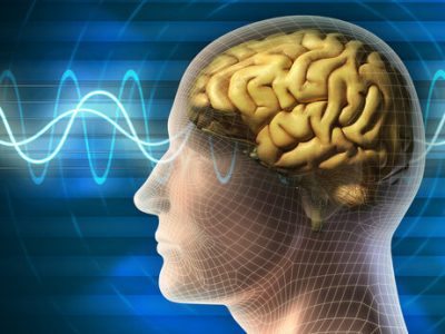 فعال شدن کانال «دنیای مغز» در نرم‌افزار «شاد»