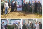 کاشت ۲۰۰ اصله نهال در آب وفاضلاب مازندران به مناسبت روز درختکاری