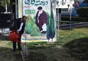 روز درختکاری نماد زندگی و تداوم آن بر روی زمین است