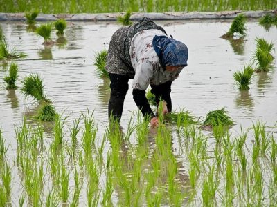 رنج بی‌گنج