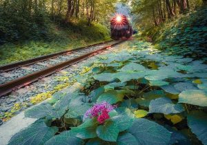 سفری آرام در امتداد مسیر قطار