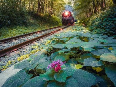 سفری آرام در امتداد مسیر قطار