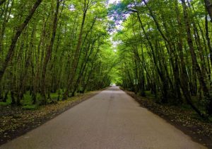 راه هموار نیست