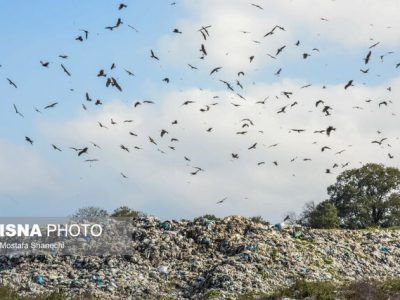 “پسماند” فاجعه زیست محیطی در مازندران