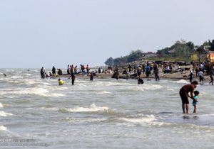 آن سوی پرچین‌ها دریا است