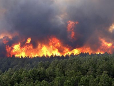 آتش به جان منابع طبیعی استان افتاد؟!