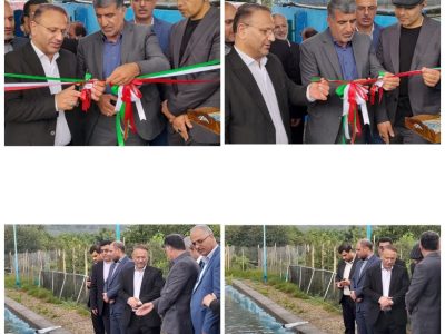 شیلات از اجرای طرح های توسعه پرورش ماهیان خاویاری در مازندران حمایت کامل خواهد کرد.