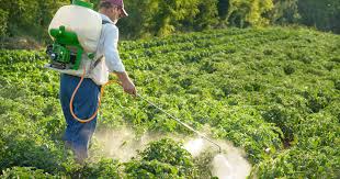 سم میخوریم؟!