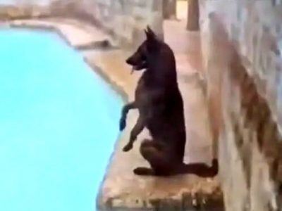 برای مازندران دل بسوزانید