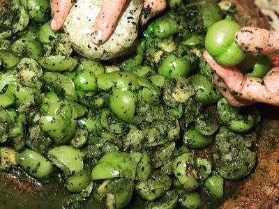 هلی کتنی پذیرایی به سبک مازندرانی