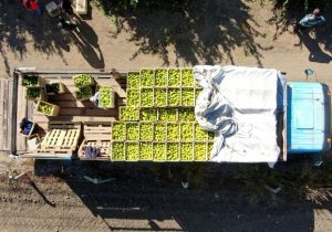 وعدههای پارسالی صادرات محقق نشد