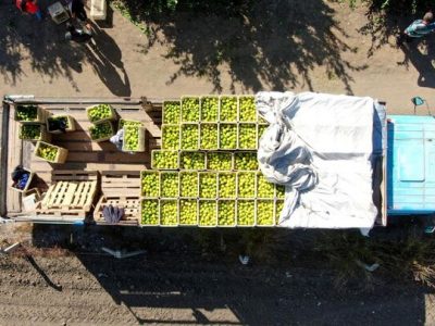 وعدههای پارسالی صادرات محقق نشد