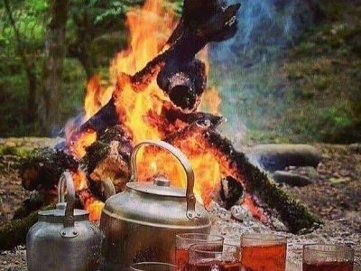 سفیر اعتماد در اعماق جنگلهای لفور