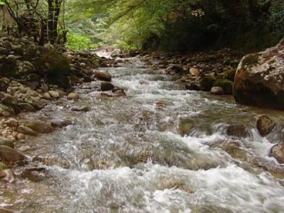 در تلاطم امواج رود