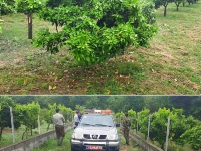 آزادسازی عرصه ملی در حوزه استحفاظی شهرستان ساری انجام شد