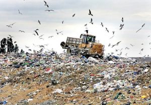 طلای کثیف فرصتی برای درآمدزایی یا زباله‌دانی بزرگ در قلب سبز ایران؟