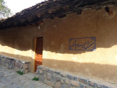 مینا هنوز برای پلنگ عاشقانه می‌خواند