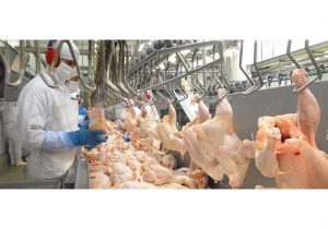 گامی بزرگ در ثبات بازار و رفع نگرانیها